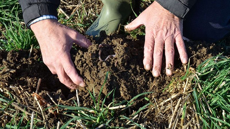 soil-health-uk