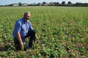 man in crops