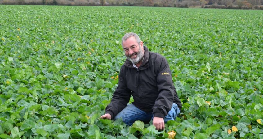 Claydon oilseed rape