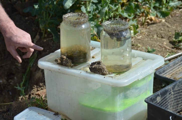 Soil test - slake test jars