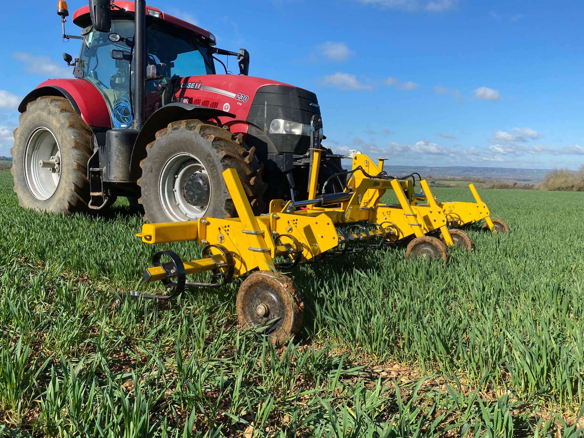 TerraBlade inter-row hoe is in operation on the farm